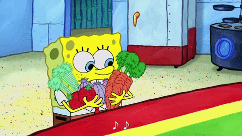 season 9 GIF by SpongeBob SquarePants