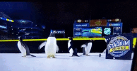 scared winter classic GIF