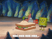 season 5 the inmates of summer GIF by SpongeBob SquarePants