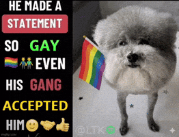 Dog Gang GIF