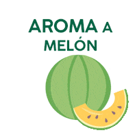 Melon Aroma Sticker by VcsFarma