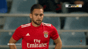 andrija zivkovic slbgifs GIF by Sport Lisboa e Benfica