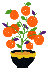 Chinese Oranges Sticker by Panda Express