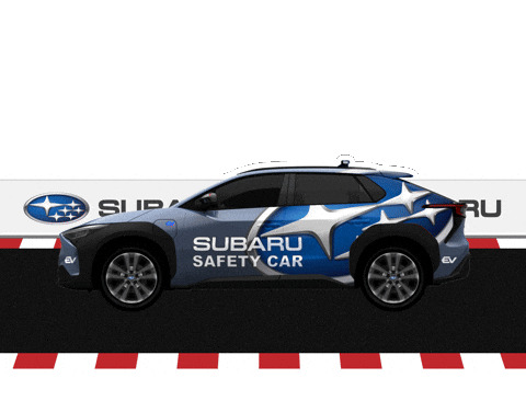 Race Motorcycle Sticker by SubaruItalia