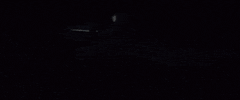 the fast and the furious GIF by Furious 7