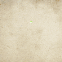 zacatecas GIF by gobiernozac