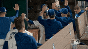 Major League Baseball Hug GIF by MLB
