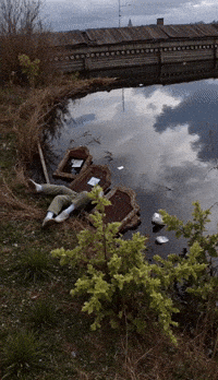 Bg Veo GIF by Aleksey Efremov