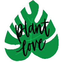 Plants Leaves Sticker