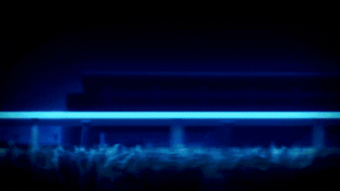 Shocked Horse Race GIF