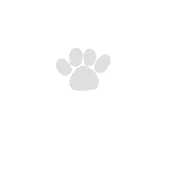 ravalikodarapu puppy paws dogpaws ravalikodarapu Sticker