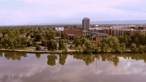 Beer Lake GIF by Odell Brewing Company