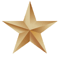 Star Gold Sticker by Bakkerij Voncken