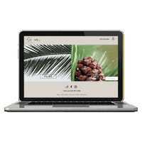 Pxpgroup Sticker by Palms and Pines Group