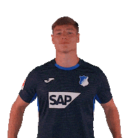 Sport Shrug Sticker by TSG Hoffenheim