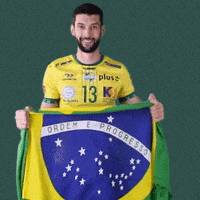 Flag Brazil GIF by Aluron CMC Warta Zawiercie