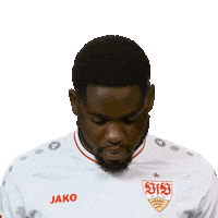 Line Up Smile Sticker by Bundesliga