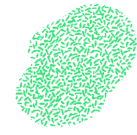 Nzm110 Sticker