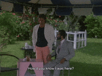 Know Miami Vice GIF by Goldmaster