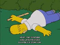 homer simpson GIF