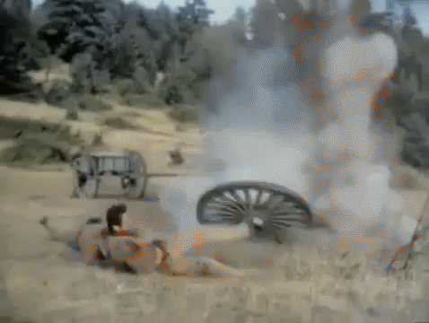 shenandoah GIF by MANGOTEETH