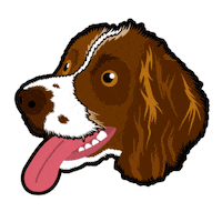 Billy Boy Illustration Sticker by Neat Pets Mementos