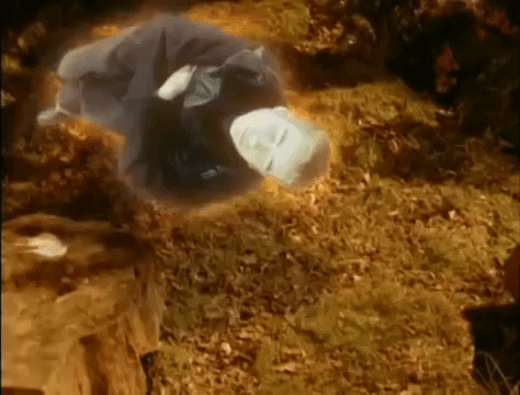 hanson GIF