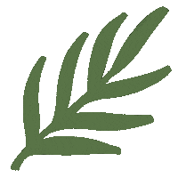 Flower Spring Sticker