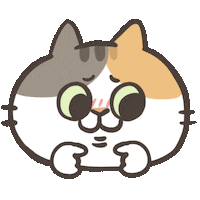 catlifesquarefish cat 害羞 catlife 啾啾 Sticker