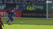 football soccer GIF by Liverpool FC