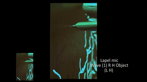 dportelli giphygifmaker GIF