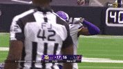 American Football GIF by Minnesota Vikings