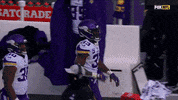 American Football GIF by Minnesota Vikings