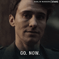 Go Away GIF by Dublin Murders