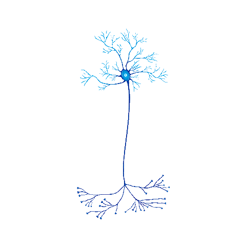 asociacioneducar brain casa ae cerebro Sticker