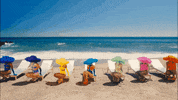 Dance Summer GIF by Cardi B