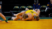 Pin Ndsu Wrestling GIF by NDSU Athletics
