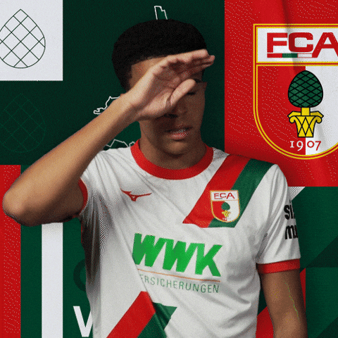 Football Bundesliga GIF by FC Augsburg 1907