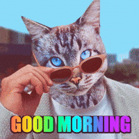 Good Morning Hello GIF by PEEKASSO