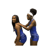 College Sports Love Sticker by Delaware Blue Hens