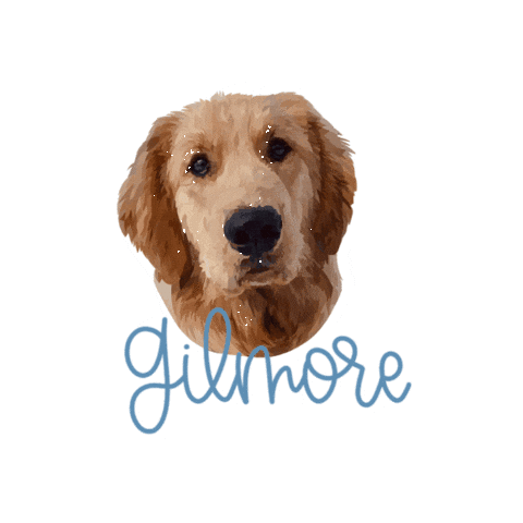Golden Retriever Gilmore Sticker