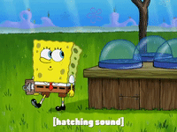 season 8 episode 13 GIF by SpongeBob SquarePants