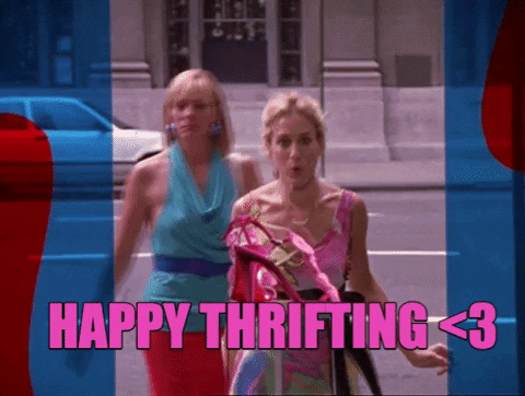 ashantyselina giphygifmaker GIF