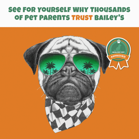 Costa Mesa California GIF by Bailey's CBD