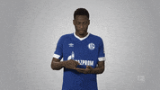 football soccer GIF by Bundesliga