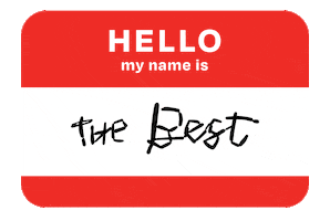 thebestbrand hello the best nametag hello my name is Sticker