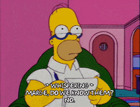homer simpson episode 13 GIF