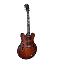 VogelGuitars guitar guitarra vogel electricguitar Sticker