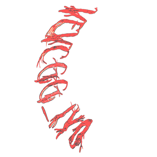 schlindivine giphyupload Sticker