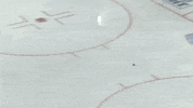 Sport Goal GIF by Ontario Reign